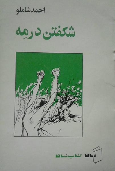 کتاب شکفتن در مه کتاب شکفتن در مه