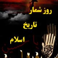 روزشمار تاریخ اسلام جلد ۲ (ماه صفر)