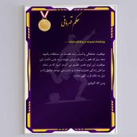 لوح تقدیر و تشکر ورزشی