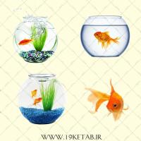 دانلود تصاویر دوربری شده تنگ ماهی