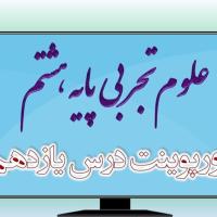 دانلود پاورپوینت فصل یازدهم علوم (پایه هشتم)