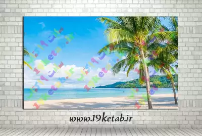 🌴🌴🌴دانلود تصویر استوک با کیفیت نخل در ساحل