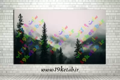 🌳🌲 دانلود عکس با کیفیت جنگل در مه