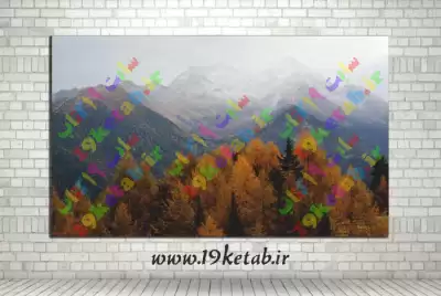 🍂🍂 🍂دانلود تصویر با کیفیت جنگل پاییزی