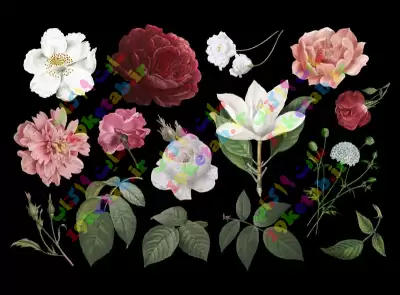 مجموعه کامل وکتور گل و برگ طبیعی
