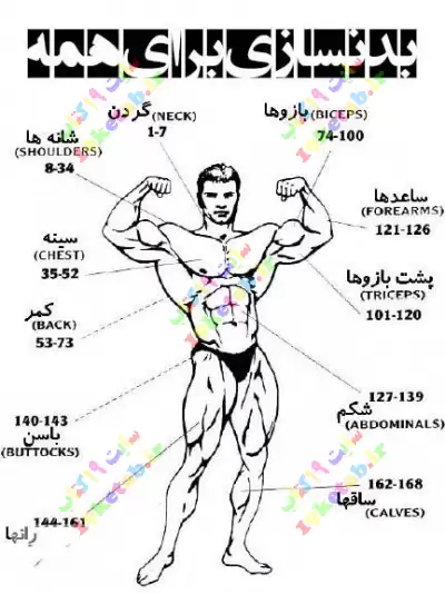 کتاب بدنسازی برای همه 0