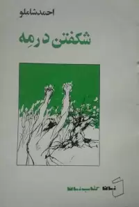 کتاب شکفتن در مه